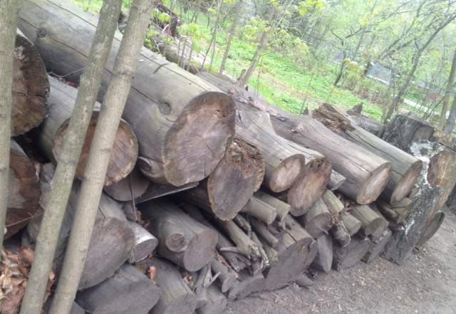 Бревна на дрова(береза, тополь, клен)