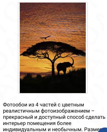 Фотообои на стену «Африканский закат» Komar 4-501
